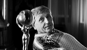 International Film Festival / 2009